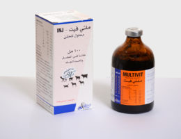 ملتي فيت